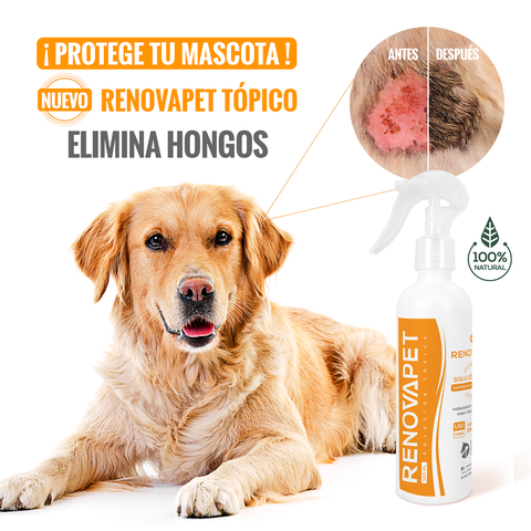 Renovapet tópico 🐶 Protege La Piel De Bacterias, Elimina Sarna y Ácaros 🐕🐈