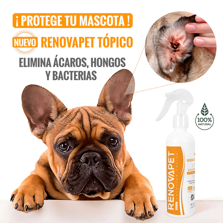 Renovapet tópico 🐶 Protege La Piel De Bacterias, Elimina Sarna y Ácaros 🐕🐈